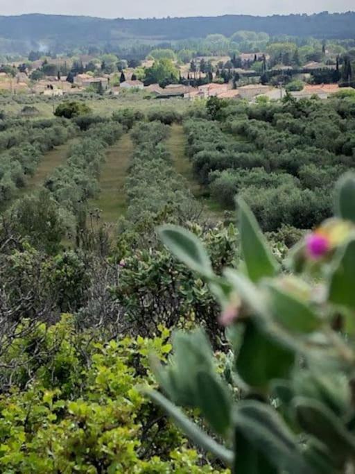 La Pitchoune : Gite Aux Pieds Des Alpilles 무리에 외부 사진