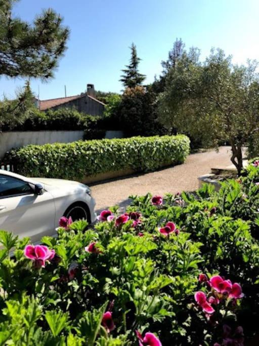 La Pitchoune : Gite Aux Pieds Des Alpilles 무리에 외부 사진
