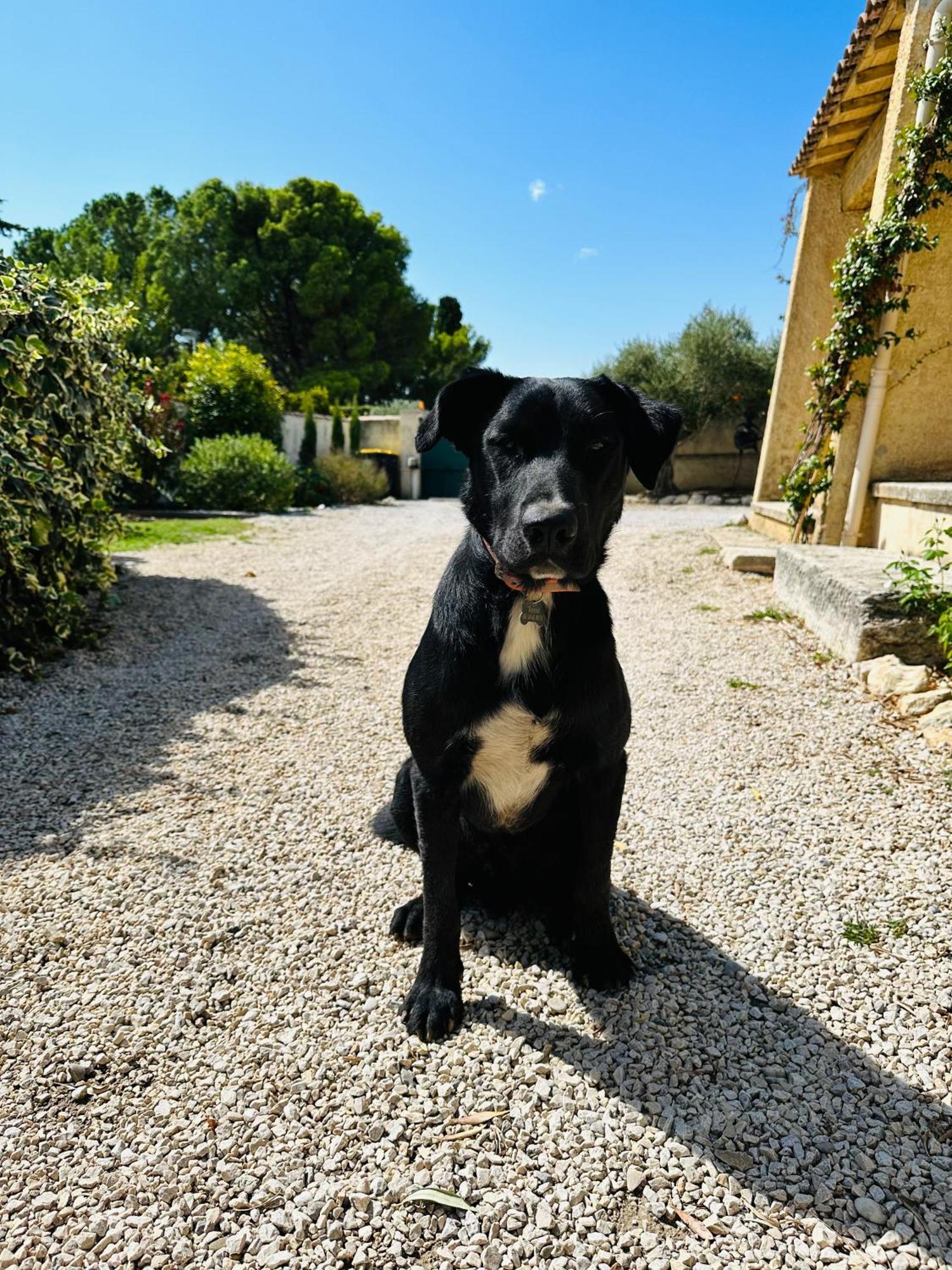 La Pitchoune : Gite Aux Pieds Des Alpilles 무리에 외부 사진